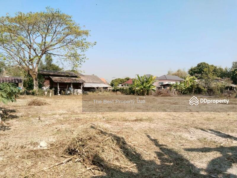 ขาย - ที่ดินพาน เชียง, เชียงราย
