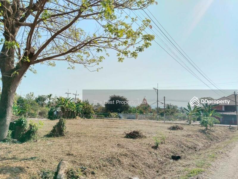 ขาย - ที่ดินพาน เชียง, เชียงราย
