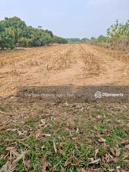 ขาย - ที่ดิน เนื้อที่ 1 ไร่ เทิง เชียงราย, เชียงราย