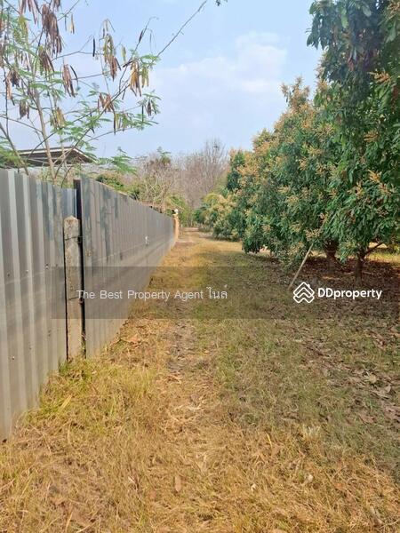 ขาย - ที่ดิน เนื้อที่ 1 ไร่ เทิง เชียงราย, เชียงราย