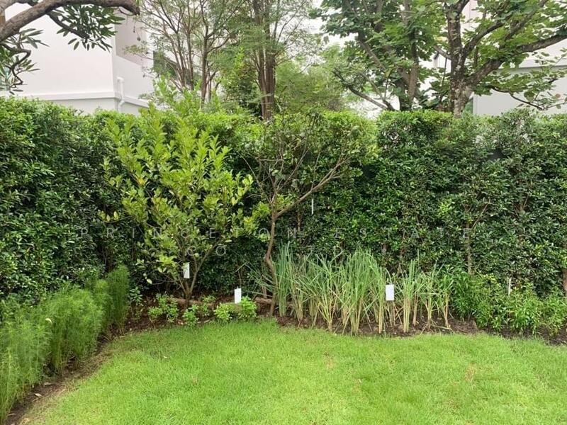 VIVE Rama 9, Bangkok, 38 Krungthep Kreetha Road, Saphan Sung, Saphan Sung, Bangkok, 3 Bedrooms, 324 sqm, Single Detached House For Rent, by Princeton Estate Co.,Ltd., 11830145 - DDproperty.com