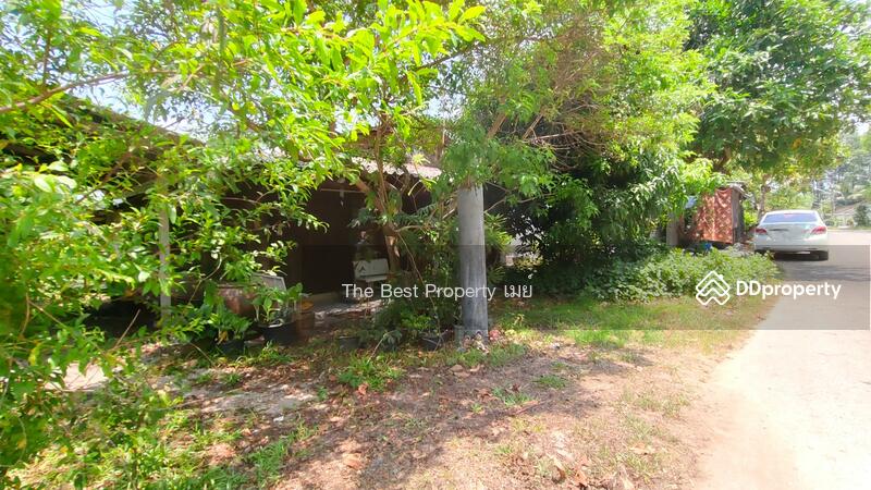 ขาย - ที่ดินพร้อมสิ่งปลูกสร้างหนองบัว จันทบุรี, จันทบุรี