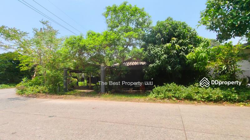ขาย - ที่ดินพร้อมสิ่งปลูกสร้างหนองบัว จันทบุรี, จันทบุรี