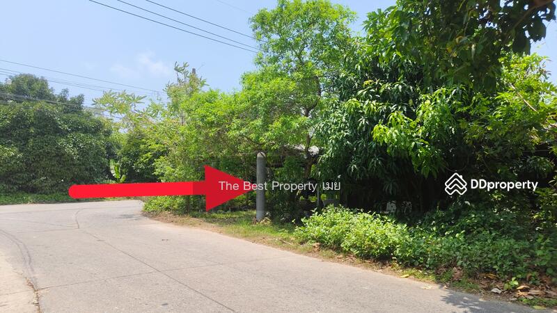 ขาย - ที่ดินพร้อมสิ่งปลูกสร้างหนองบัว จันทบุรี, จันทบุรี