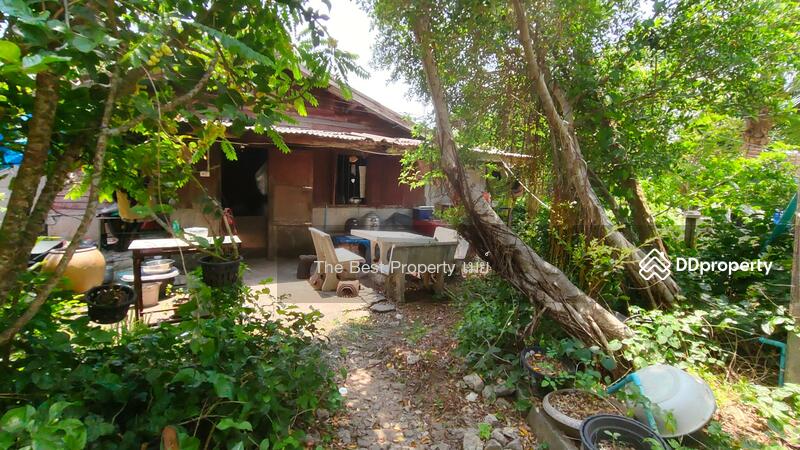 ขาย - ที่ดินพร้อมสิ่งปลูกสร้างหนองบัว จันทบุรี, จันทบุรี
