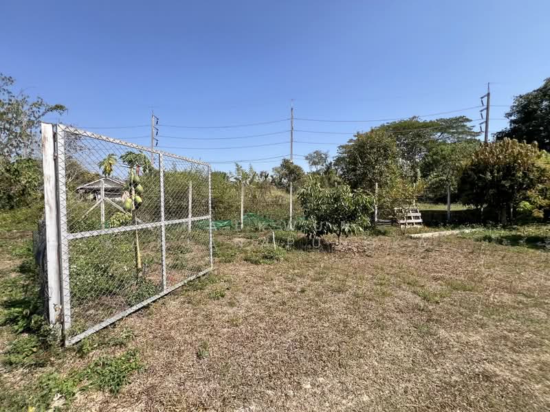 LB151: ขายที่ดินพร้อมบ้านชั้นเดียว เด่นห้า ดงมะดะ เส้น 1211 เขตรอบเวียง, เชียงราย, รอบเวียง, เมืองเชียงราย, เชียงราย, 898 ตร.ม., ที่ดิน ขาย, โดย Kaekwun Kanjanapungka, 11830175 - DDproperty.com