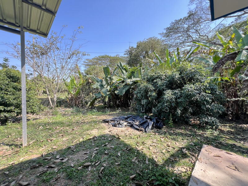 Land with Single-Storey House, 65m from Den Ha Dong Mada Road, Ropwiang, Chiang Rai, Rob Wieng, Muang Chiang Rai, Chiang Rai, , 898 sqm, Land For Sale, by Kaekwun Kanjanapungka, 11830175 - DDproperty.com