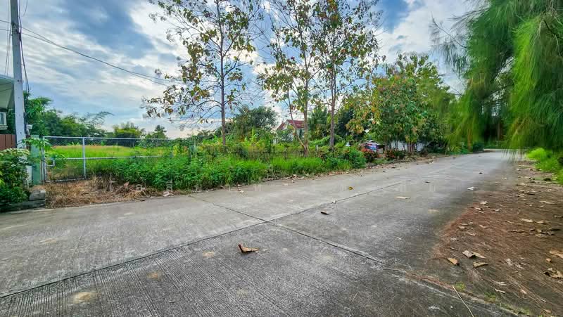 Land - Residential - For Sale - San Kamphaeng, Chiang Mai, Chiang Mai, Buak Sang, San Kamphaeng, Chiang Mai, , 2,800 sqm, Land For Sale, by Elijah Ridgley, 11830193 - DDproperty.com
