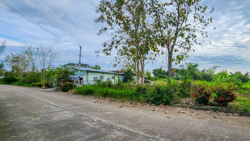 Land - Residential - For Sale - San Kamphaeng, Chiang Mai, Chiang Mai, Buak Sang, San Kamphaeng, Chiang Mai, , 2,800 sqm, Land For Sale, by Elijah Ridgley, 11830193 - DDproperty.com