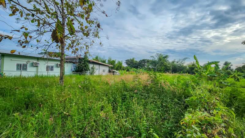 Land - Residential - For Sale - San Kamphaeng, Chiang Mai, Chiang Mai, Buak Sang, San Kamphaeng, Chiang Mai, , 2,800 sqm, Land For Sale, by Elijah Ridgley, 11830193 - DDproperty.com