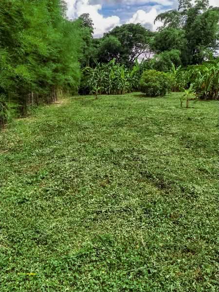 Land - Residential - For Sale - San Kamphaeng, Chiang Mai, Chiang Mai, Buak Sang, San Kamphaeng, Chiang Mai, , 2,800 sqm, Land For Sale, by Elijah Ridgley, 11830193 - DDproperty.com
