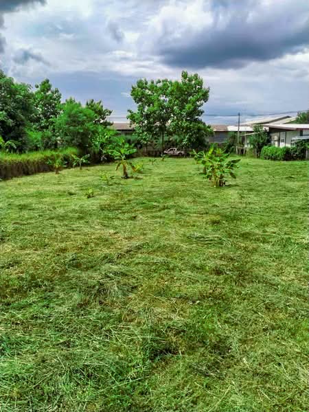 Land - Residential - For Sale - San Kamphaeng, Chiang Mai, Chiang Mai, Buak Sang, San Kamphaeng, Chiang Mai, , 2,800 sqm, Land For Sale, by Elijah Ridgley, 11830193 - DDproperty.com