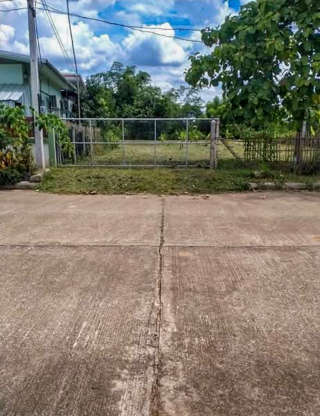 Land - Residential - For Sale - San Kamphaeng, Chiang Mai, Chiang Mai, Buak Sang, San Kamphaeng, Chiang Mai, , 2,800 sqm, Land For Sale, by Elijah Ridgley, 11830193 - DDproperty.com