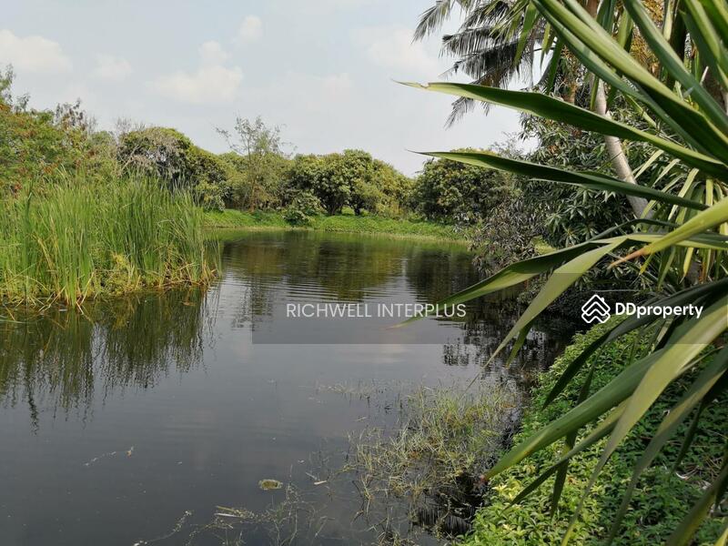 For Sale - House for sale with 6 rai of land, near Bang Ngam Subdistrict Administrative Organization - 3.2 km., Suphan Buri