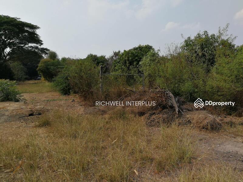 For Sale - House for sale with 6 rai of land, near Bang Ngam Subdistrict Administrative Organization - 3.2 km., Suphan Buri
