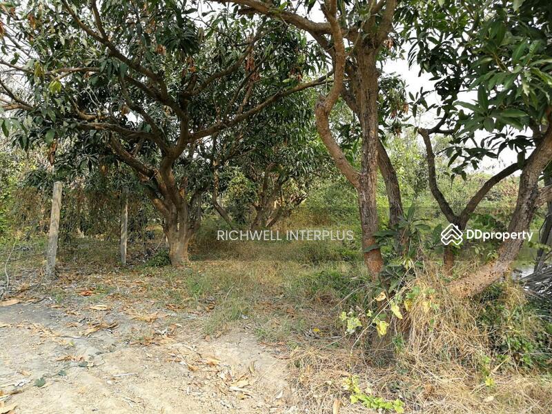 For Sale - House for sale with 6 rai of land, near Bang Ngam Subdistrict Administrative Organization - 3.2 km., Suphan Buri