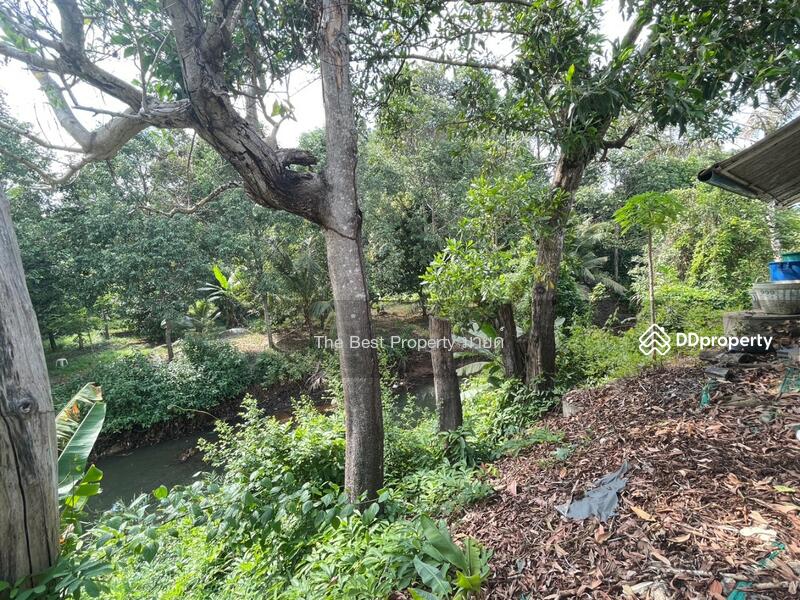 ขาย - บ้านเดี่ยวพร้อมที่ดินท่าช้าง จันทบุรี, จันทบุรี