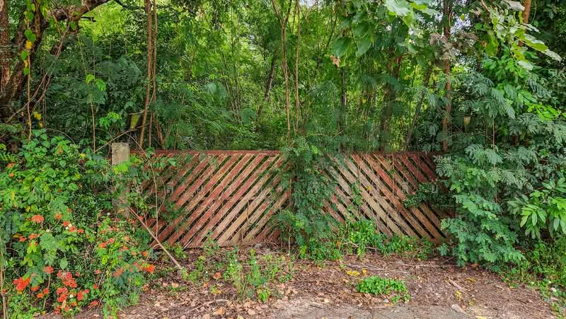Land - Residential - For Sale - San Sai, Chiang Mai, Chiang Mai, Nong Chom, San Sai, Chiang Mai, , 1,608 sqm, Land For Sale, by Elijah Ridgley, 11831771 - DDproperty.com