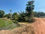 ขายที่ดินเสม็ดเหนือ 8 ไร่ ติดถนน 2 ด้าน ติดคลอง ใกล้ถนนเส้น 3121 - 1.3 กม. บางคล้า, ฉะเชิงเทรา