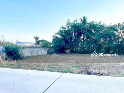 ขาย - DD-834141 ที่ดินนาเชือก 113 ตร.ว. มหาสารคาม ใกล้วัดกุดรังสุทธาราม, มหาสารคาม