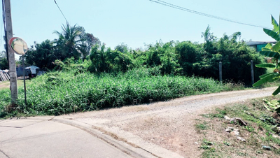 ขาย - ที่ดินบ้านคลอง พิษณุโลก, พิษณุโลก