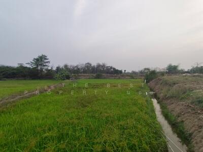 ขาย - ที่ดินผาจุก อุตรดิตถ์, อุตรดิตถ์