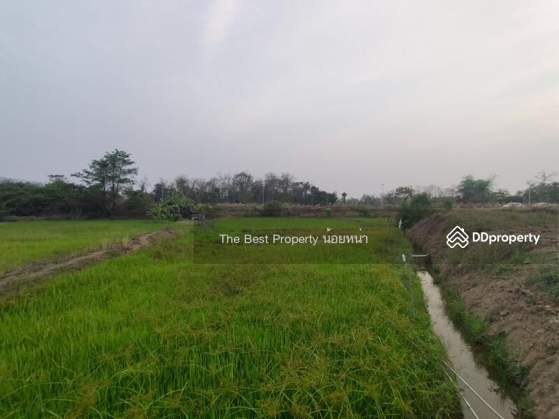 ขาย - ที่ดินผาจุก อุตรดิตถ์, อุตรดิตถ์