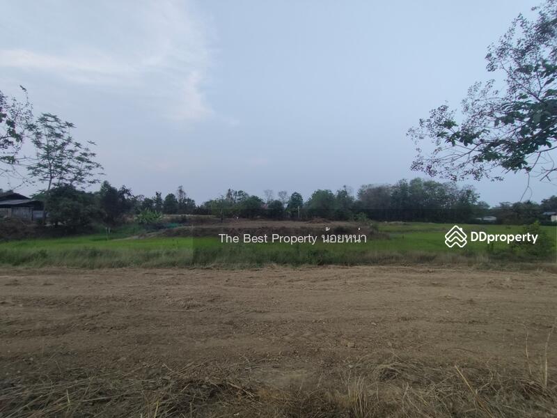 ขาย - ที่ดินผาจุก อุตรดิตถ์, อุตรดิตถ์