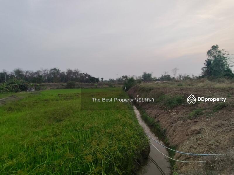 ขาย - ที่ดินผาจุก อุตรดิตถ์, อุตรดิตถ์