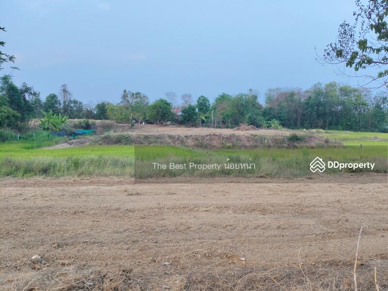 ขาย - ที่ดินผาจุก อุตรดิตถ์, อุตรดิตถ์