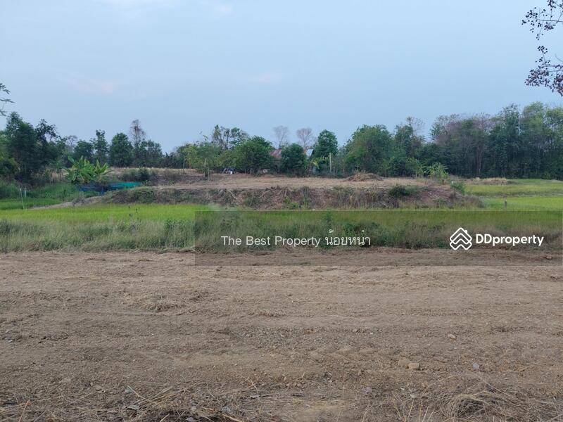 ขาย - ที่ดินผาจุก อุตรดิตถ์, อุตรดิตถ์