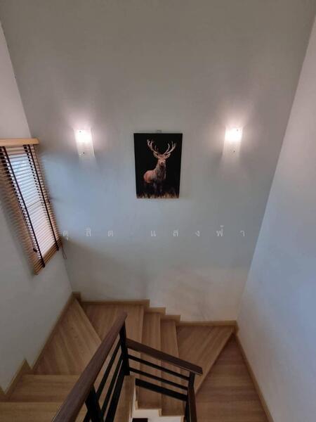 ให้เช่าบ้านเดี่ยว ม.เดอะทรี หนองยายบู่ ศรีราชา, ชลบุรี, สุรศักดิ์, ศรีราชา, ชลบุรี, 180 ตร.ม., บ้านเดี่ยว ให้เช่า, โดย ดุสิต แสงฟ้า, 11834058 - DDproperty.com