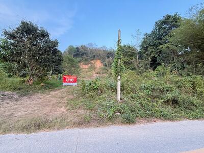 ขาย - ที่ดินลับแล อุตรดิตถ์, อุตรดิตถ์