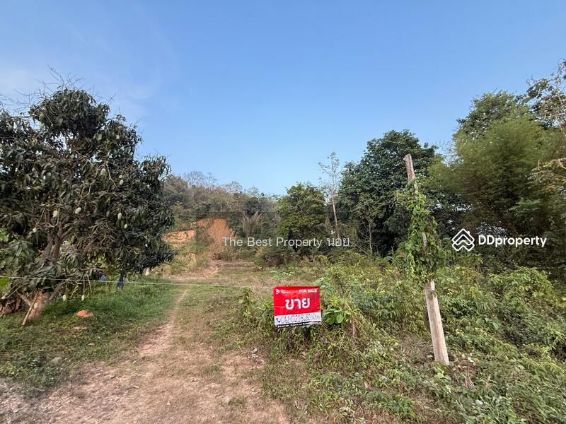 ขาย - ที่ดินลับแล อุตรดิตถ์, อุตรดิตถ์