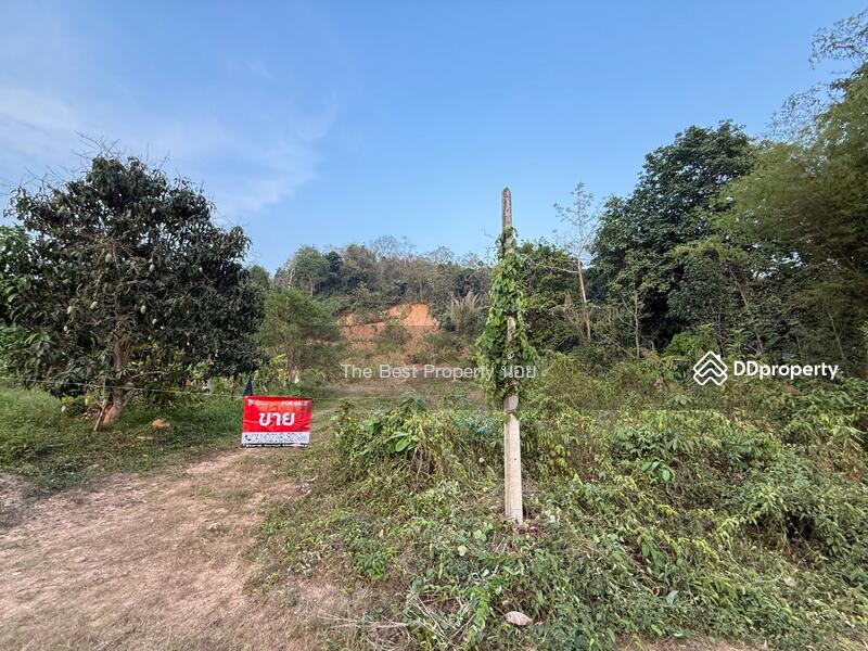 ขาย - ที่ดินลับแล อุตรดิตถ์, อุตรดิตถ์