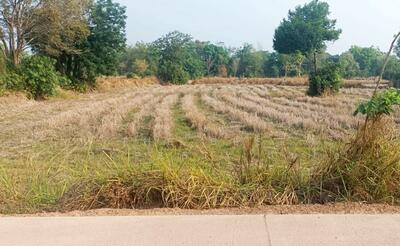 ขาย - ที่ดินอรัญประเทศ สระแก้ว, สระแก้ว