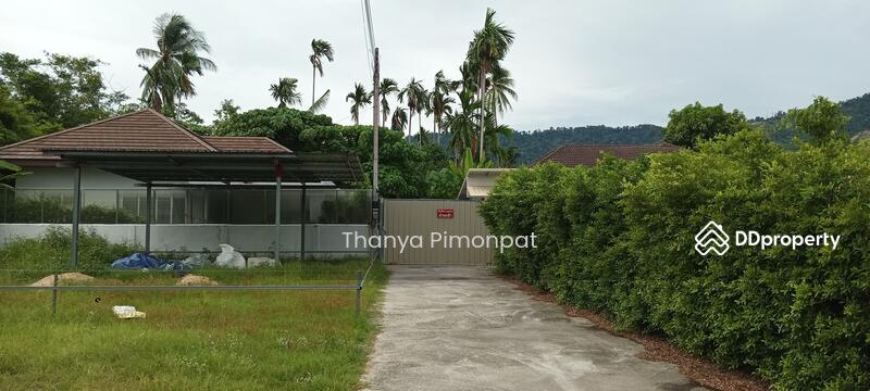 For Sale - Single House for Sale in Koh Samui x 2 chanote, Surat Thani