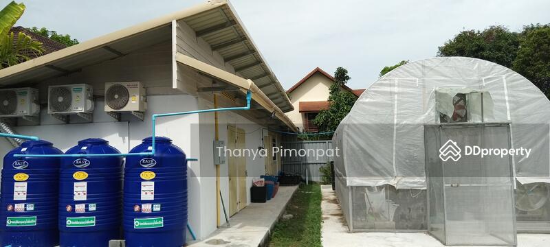For Sale - Single House for Sale in Koh Samui x 2 chanote, Surat Thani