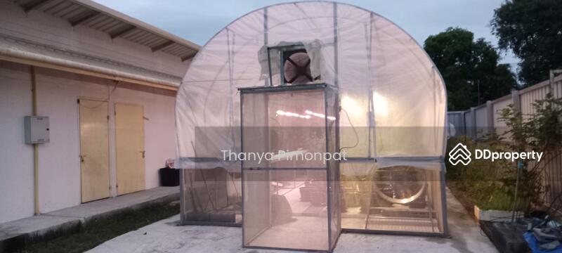 For Sale - Single House for Sale in Koh Samui x 2 chanote, Surat Thani