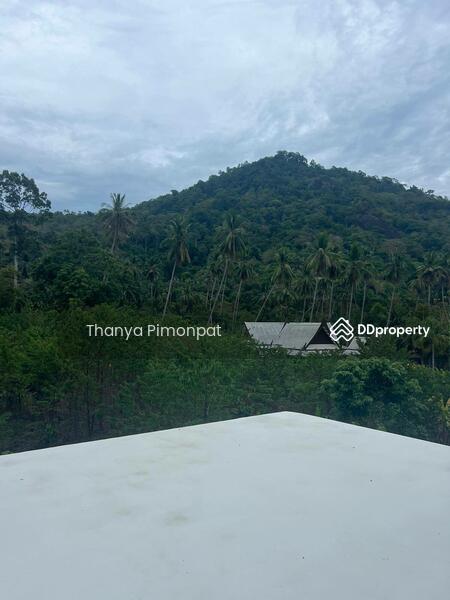 ขาย - Unique House for Sale Surrounded by Beautiful Jungle, สุราษฎร์ธานี