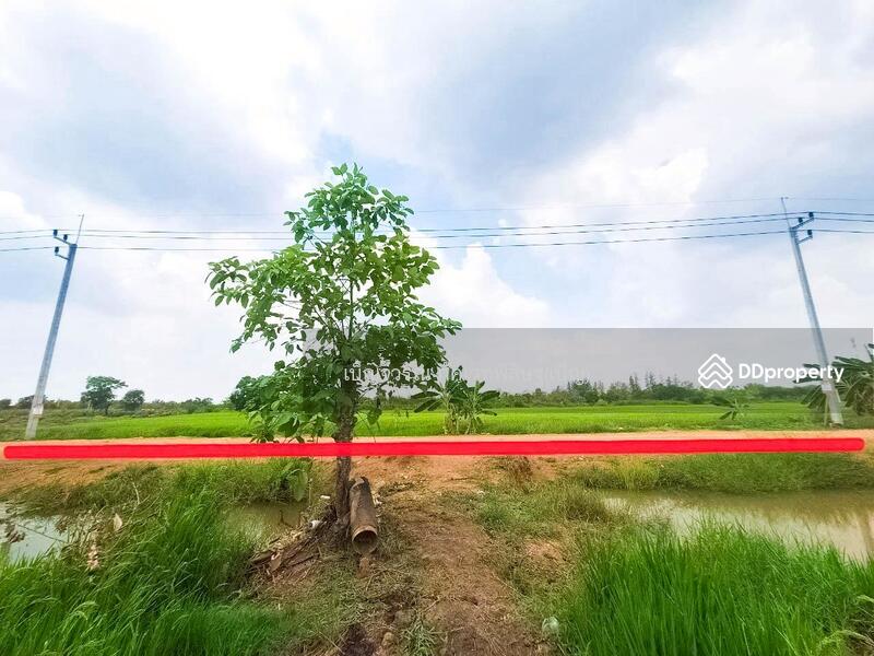 For Rent - LU-803970 Land, Khlong Luang, 2 rai 25 sq w, Pathum Thani, near Wat Phra Dhammakaya (for rent), Pathum Thani