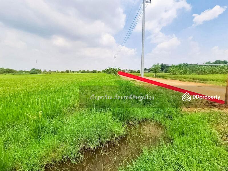 For Rent - LU-803970 Land, Khlong Luang, 2 rai 25 sq w, Pathum Thani, near Wat Phra Dhammakaya (for rent), Pathum Thani