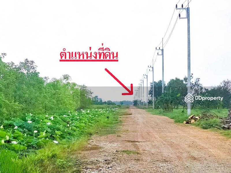 For Rent - LU-803970 Land, Khlong Luang, 2 rai 25 sq w, Pathum Thani, near Wat Phra Dhammakaya (for rent), Pathum Thani