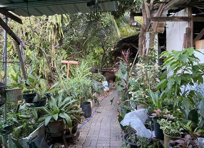 ขาย - Baan Phakamas : บ้านผกามาศ, กรุงเทพ