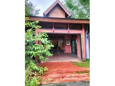 ขาย - รีสอร์ทสันกำแพง, เชียงใหม่