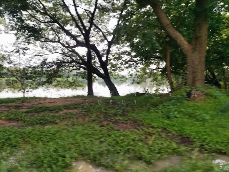 รีสอร์ทสันกำแพง, Chiang Mai, 1147, Mae On Tai, San Kamphaeng, Chiang Mai, , 9,948 sqm, Land For Sale, by สุวรักษ์ อิศรางกูร ณ อยุธยา, 11836135 - DDproperty.com