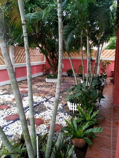 บ้านไม้สุดคลาสสิค !! ไม้แท้ สวยมาก!!! เนื้อแข็งปลวกไม่กิน !! ขายบ้านเดี่ยวหนองเกตุน้อย พัทยา, Chon Buri (Pattaya), Ta Khian Tia, Bang Lamung (Pattaya), Chon Buri (Pattaya), 2 Bedrooms, 117 sqm, Single Detached House For Sale, by คุณรินดา, 11837994 - DDproperty.com