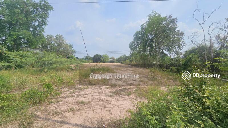 For Rent - Land for lent, Nakhon Nayok