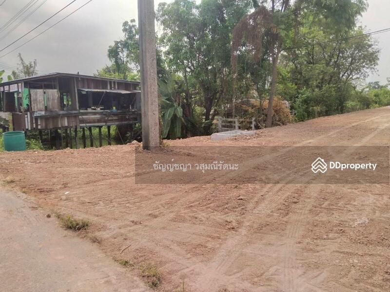 For Rent - Land for lent, Nakhon Nayok