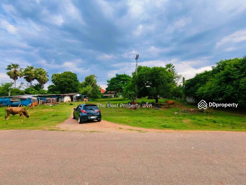 ขาย - ที่ดินบ้านโป่ง ราชบุรี, ราชบุรี